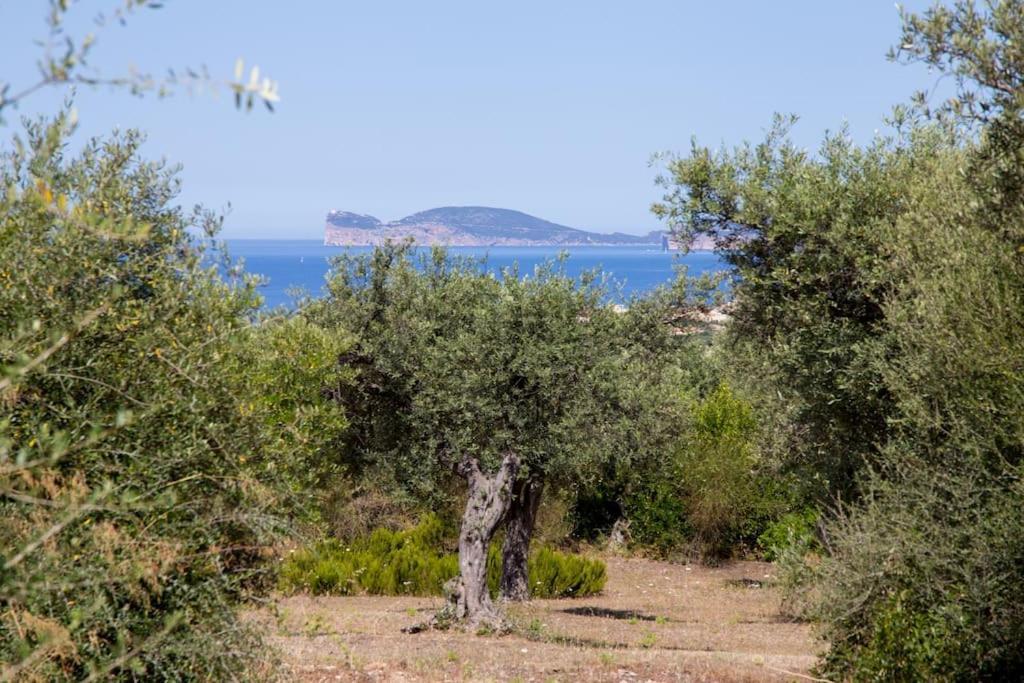 Villa Tramonto Alguer Exterior foto
