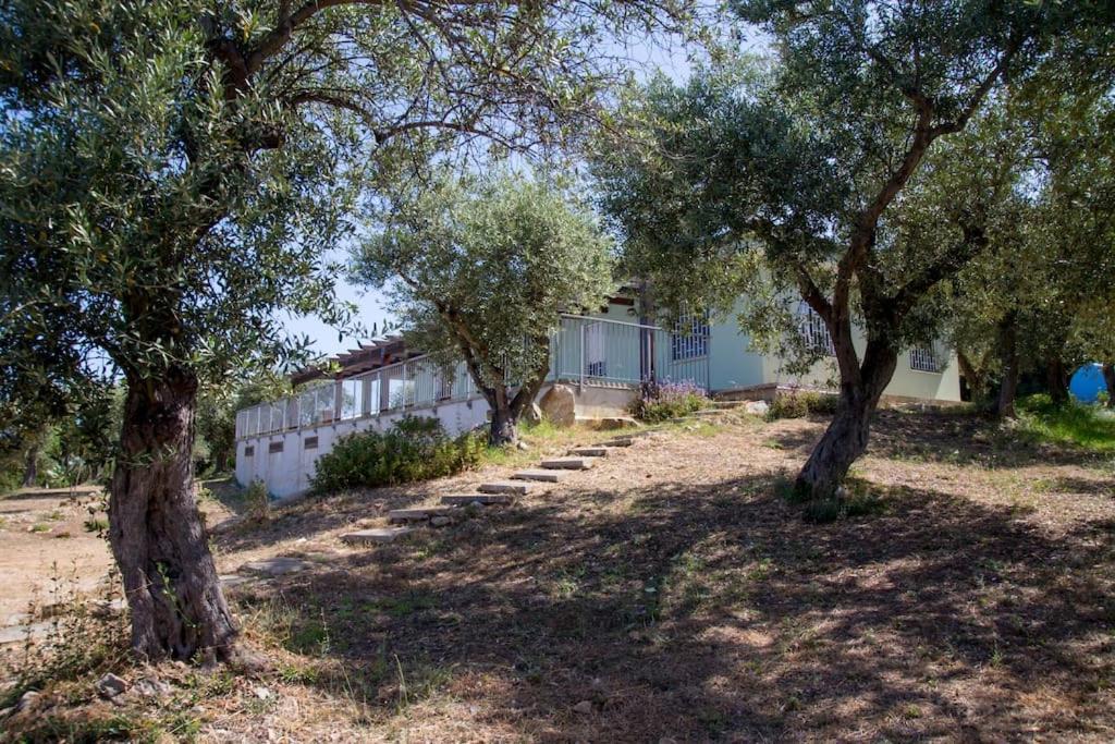 Villa Tramonto Alguer Exterior foto